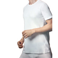 lacoste t-shirt til mænd hvid