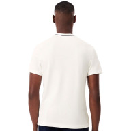 lacoste t-shirt til mænd