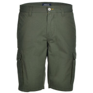 sebago-shorts til mænd-groen