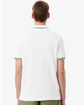 Lacoste polo til mænd.